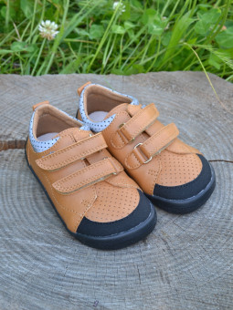 Beda Camel nizki čevlji